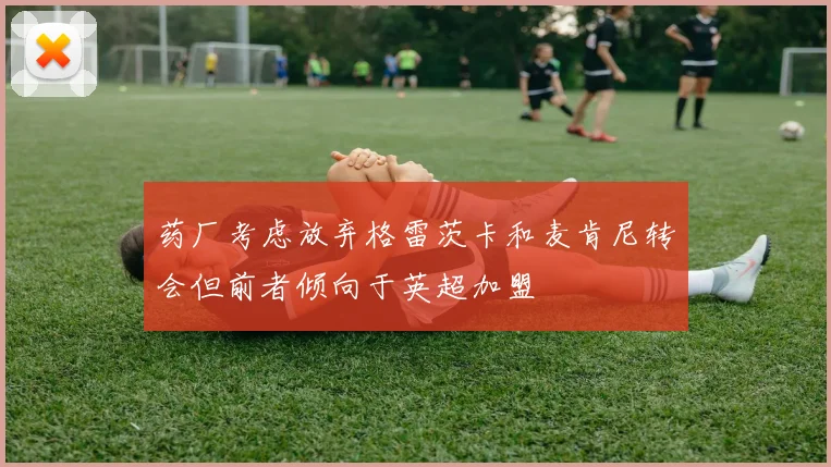 药厂考虑放弃格雷茨卡和麦肯尼转会但前者倾向于英超加盟